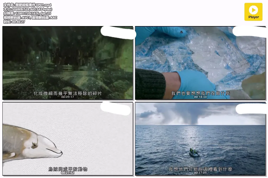 塑膠殺鯨事件 EP01.mp4.webp