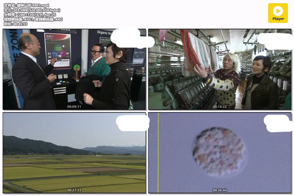細味山形 EP01.mp4.webp