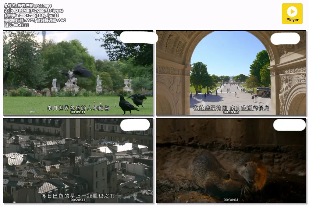 野性巴黎 EP02.mp4.webp