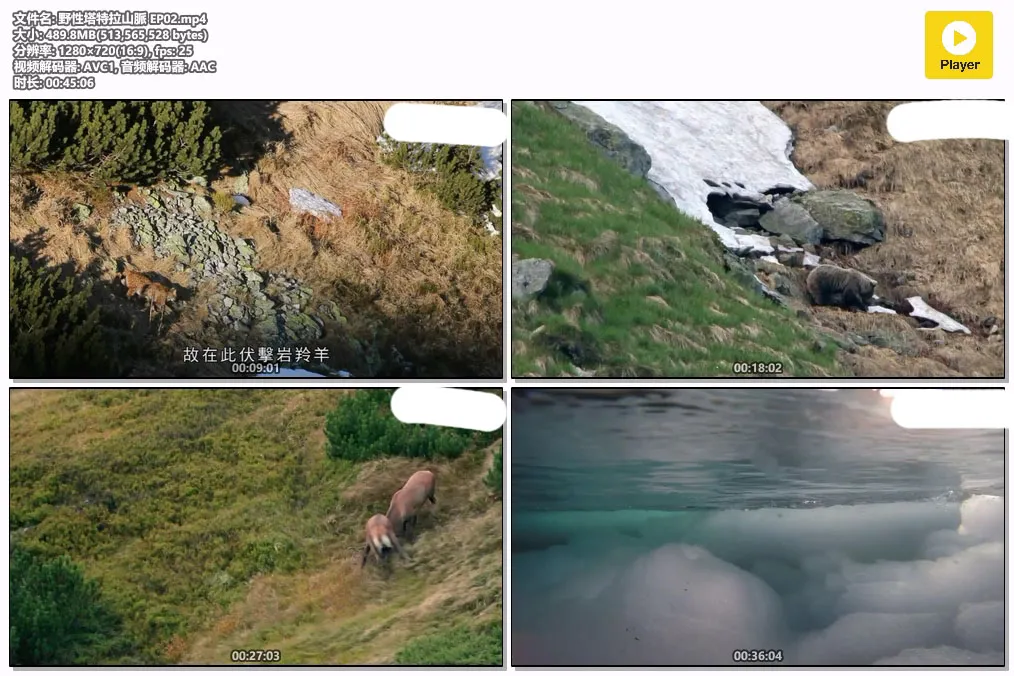 野性塔特拉山脈 EP02.mp4.webp