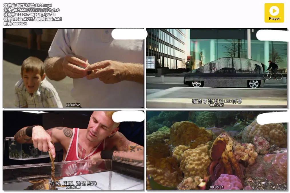 智鬥八爪魚 EP01.mp4.webp