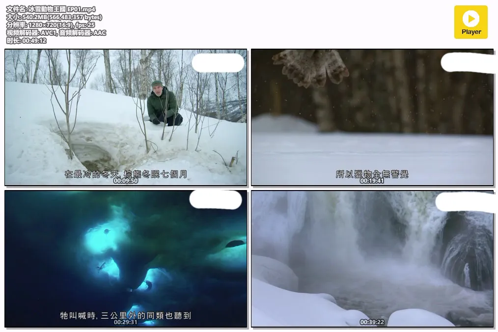 冰雪動物王國 EP01.mp4.webp