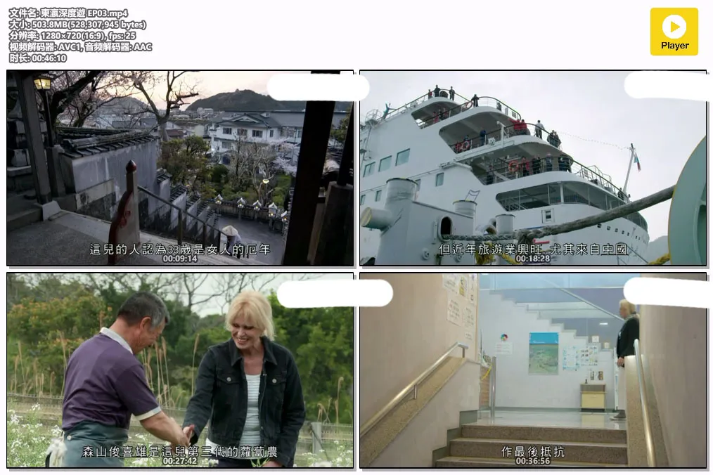 東瀛深度遊 EP03.mp4.webp