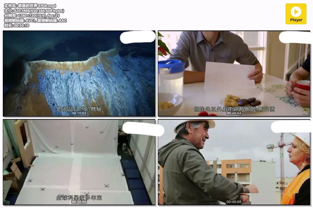 奇異的世界 EP08.mp4.webp