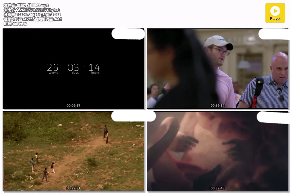 懷胎九月 EP03.mp4.webp