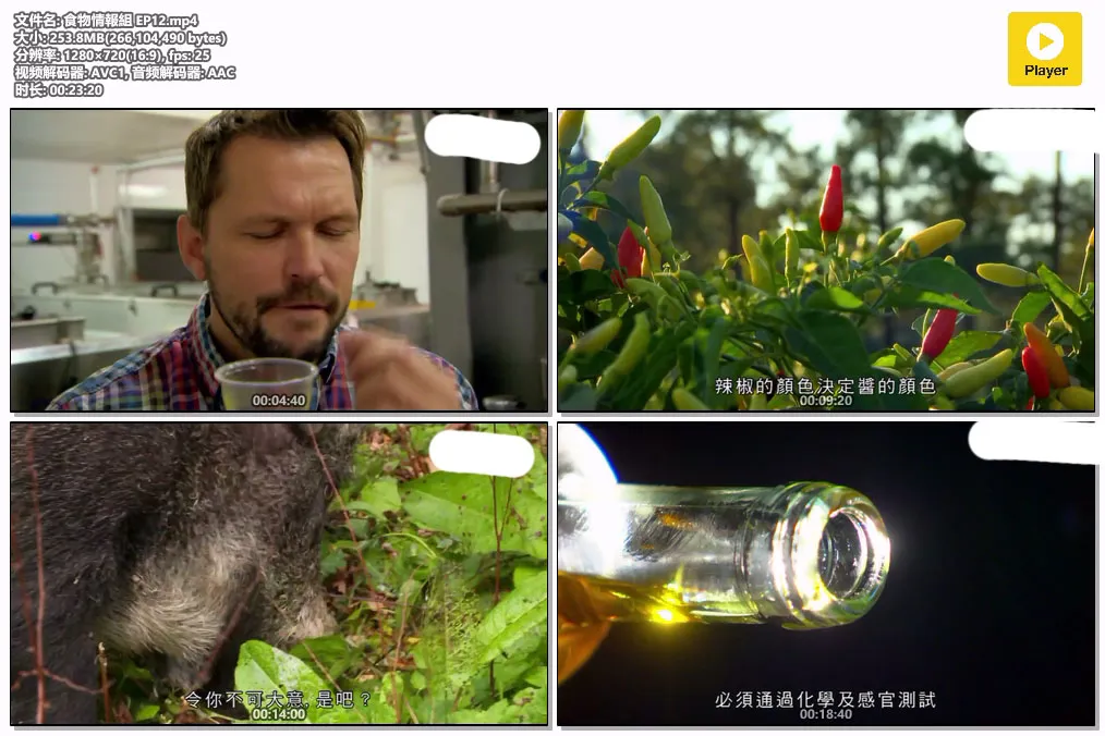 食物情報組 EP12.mp4.webp