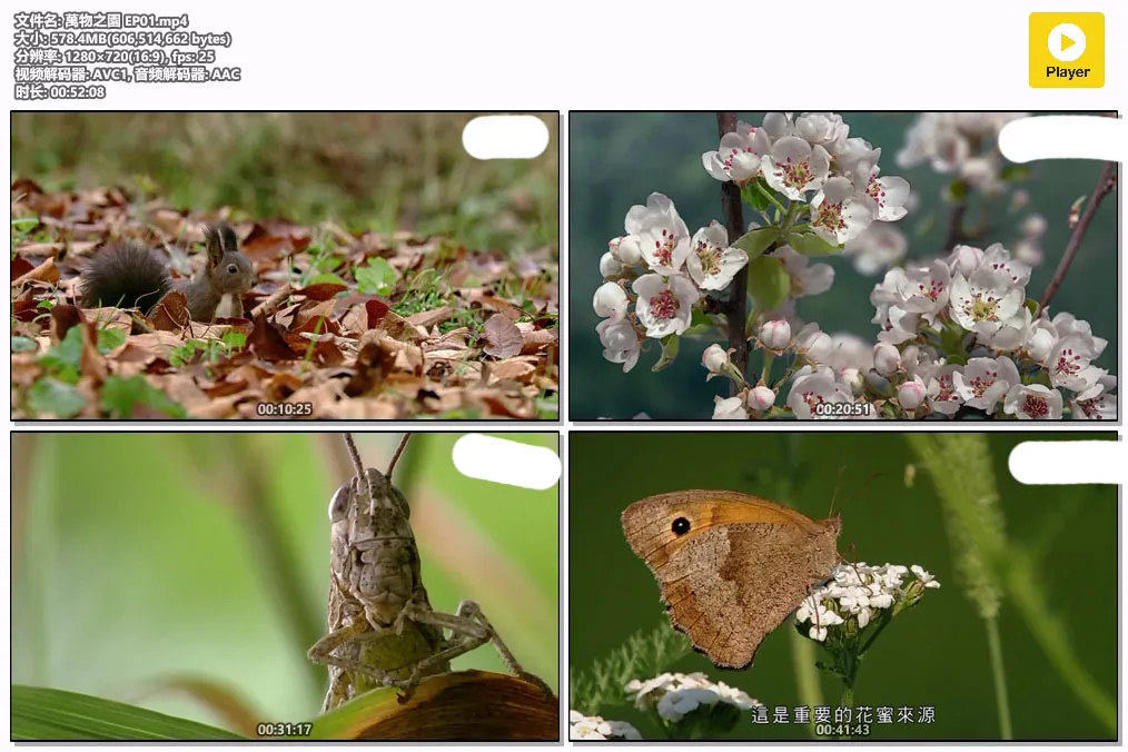 萬物之園 EP01.mp4.webp