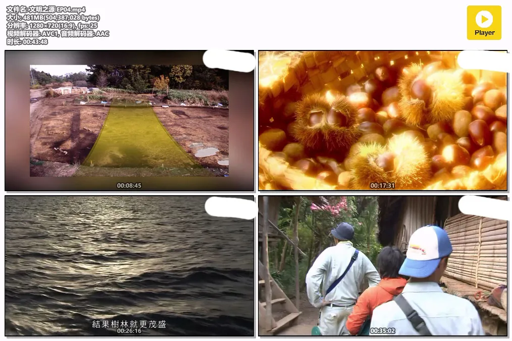 文明之源 EP04.mp4.webp