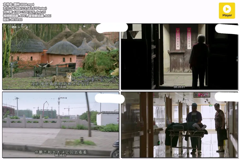 園林 EP08.mp4.webp