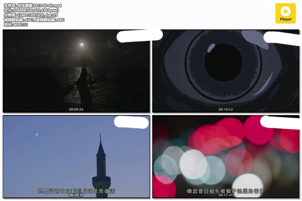 月光寶鑑 2017-05-03.mp4.webp