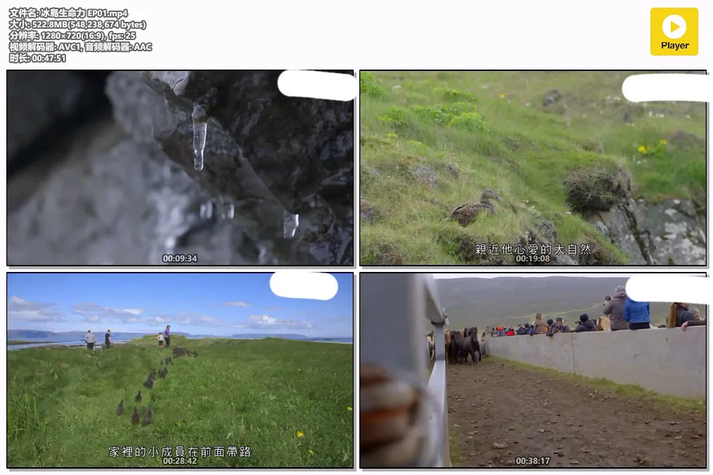 冰島生命力 EP01.mp4.webp