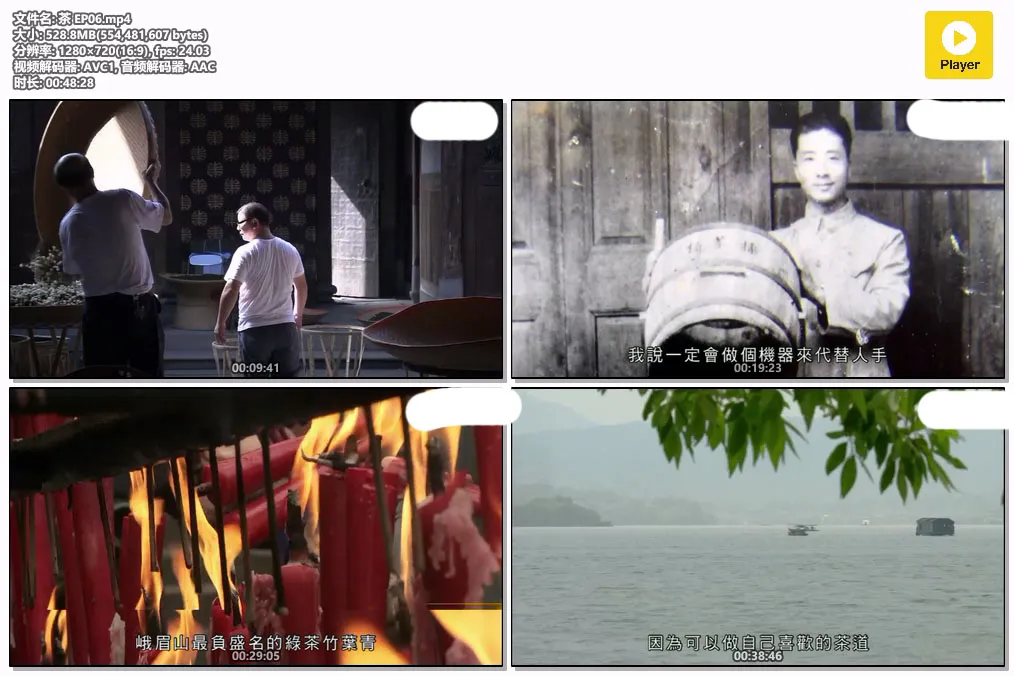 茶 EP06.mp4.webp