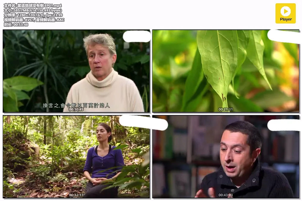 當這地球沒有樹 EP01.mp4.webp