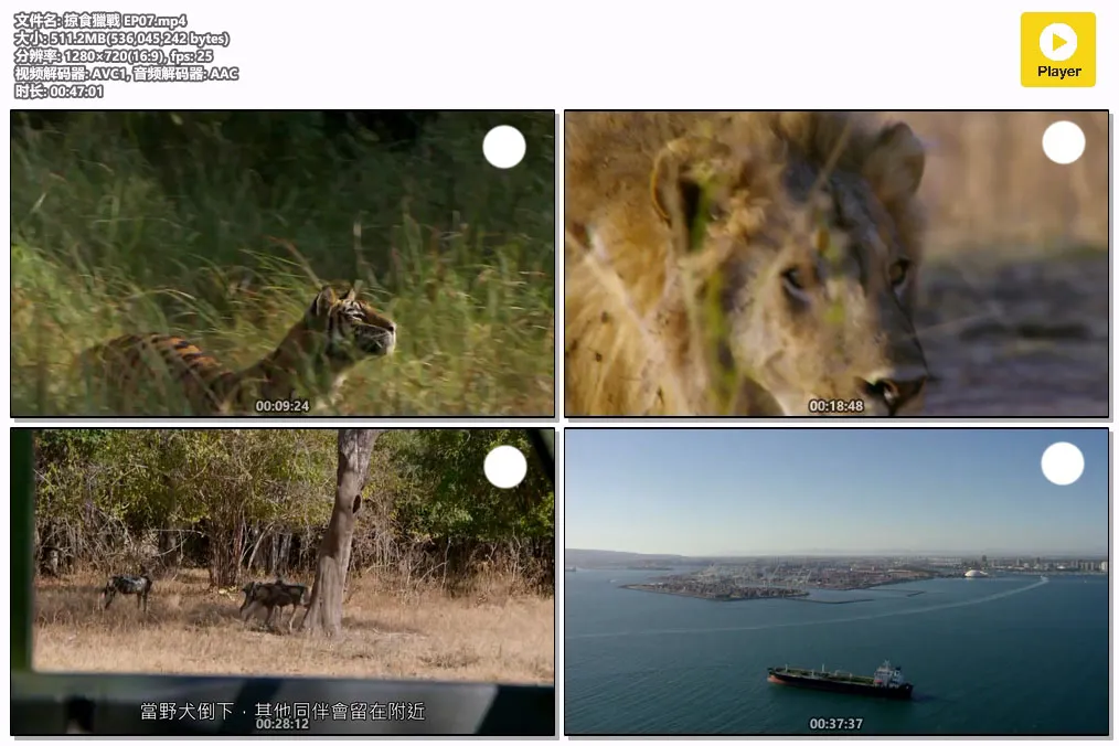 掠食獵戰 EP07.mp4.webp