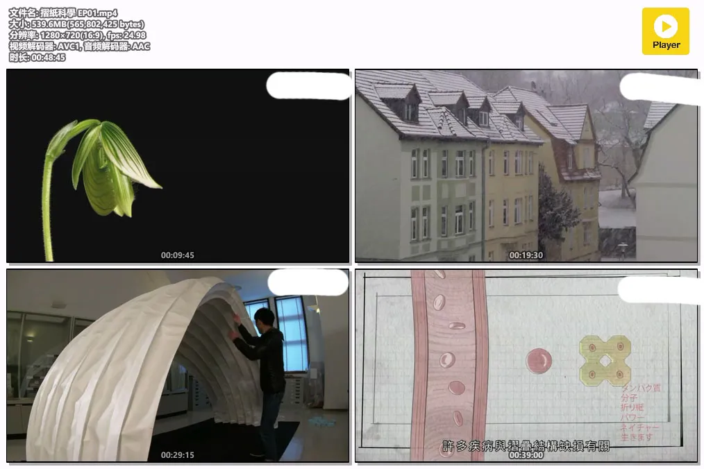 摺紙科學 EP01.mp4.webp