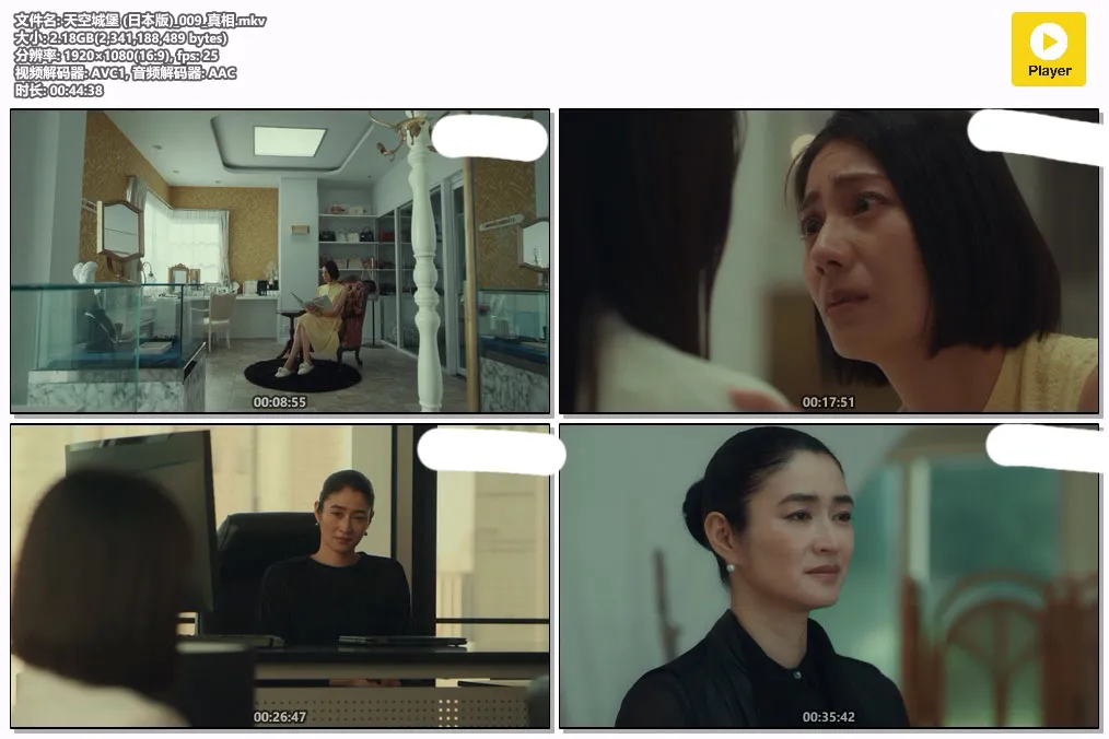 天空城堡 (日本版)_009_真相.mkv.webp