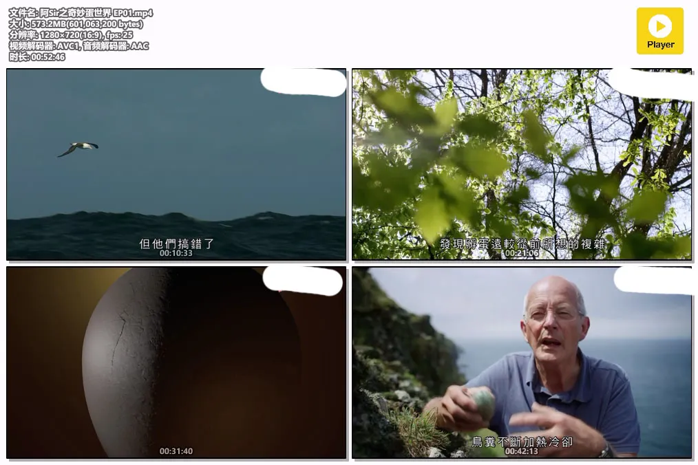 阿Sir之奇妙蛋世界 EP01.mp4.webp