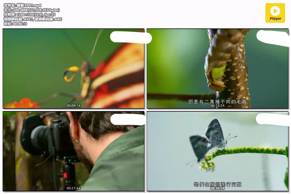 蝶變 EP01.mp4.webp