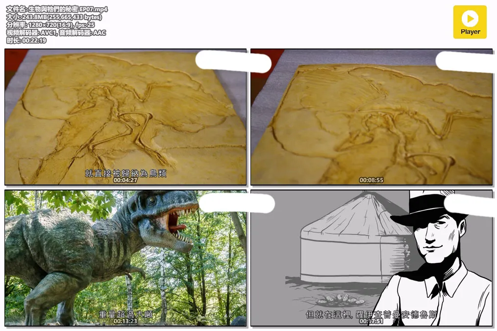 生物與牠們的秘密 EP07.mp4.webp