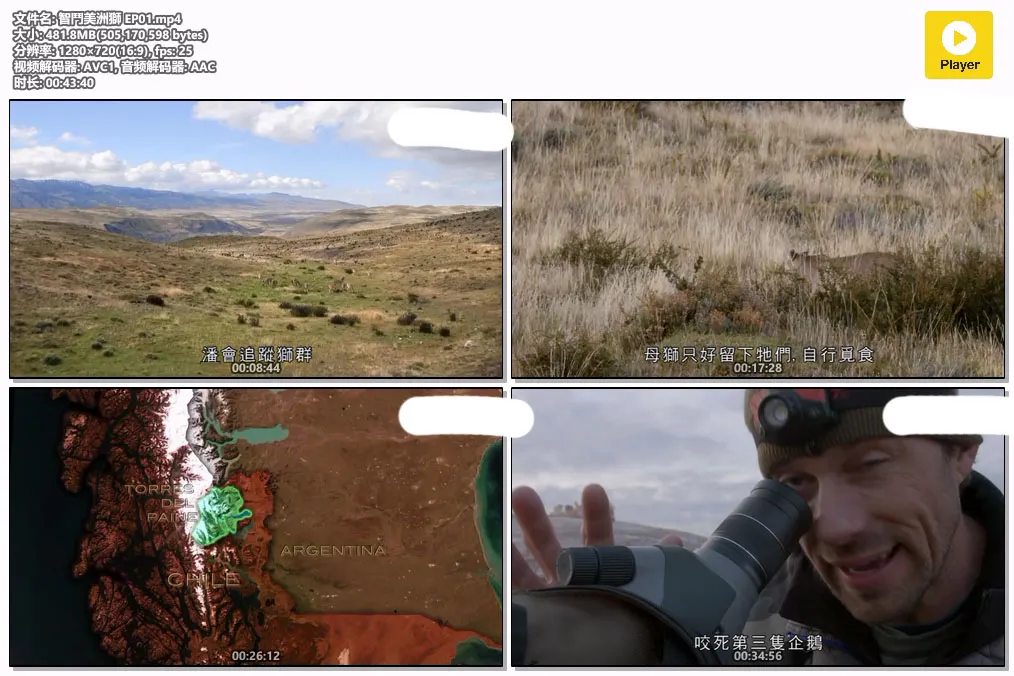 智鬥美洲獅 EP01.mp4.webp