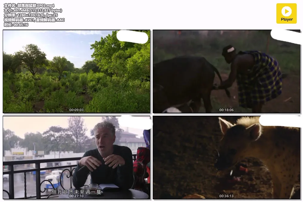 部落與猛獸 EP03.mp4.webp