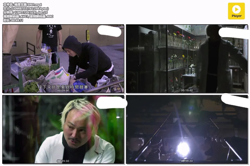 極度花藝 EP01.mp4.webp