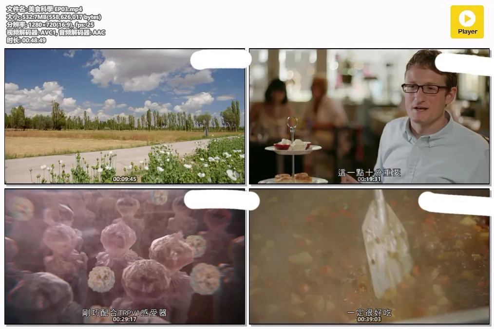 美食科學 EP03.mp4.webp