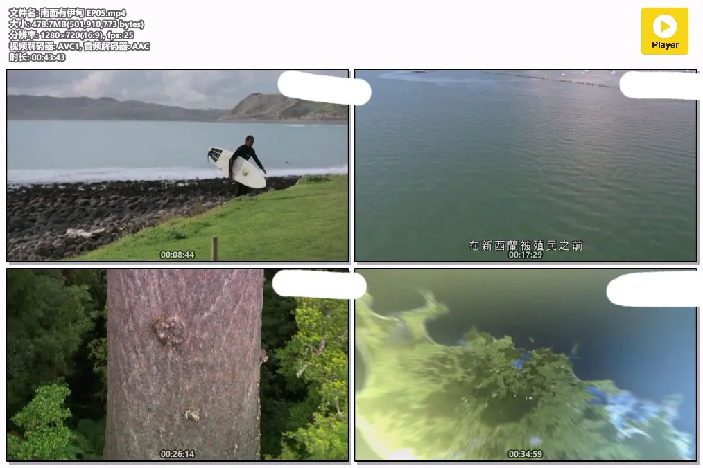 南面有伊甸 EP05.mp4.webp