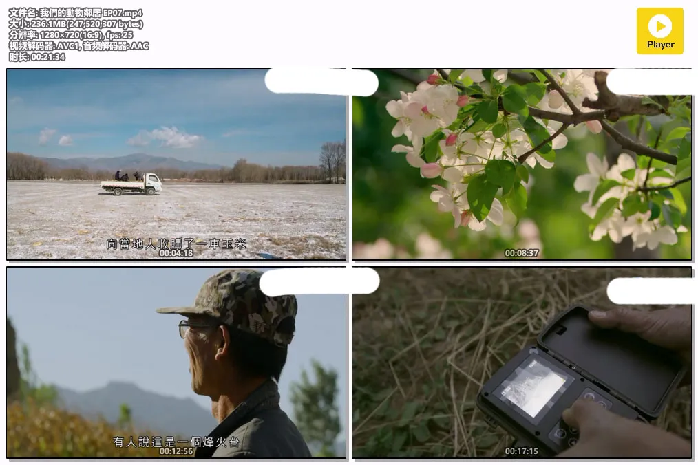 我們的動物鄰居 EP07.mp4.webp