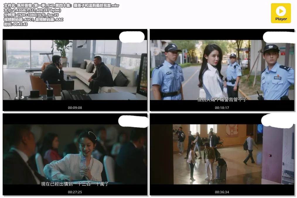 無所畏懼 (第一季)_E40_第四十集：羅英子和温莉最終見面.mkv.webp