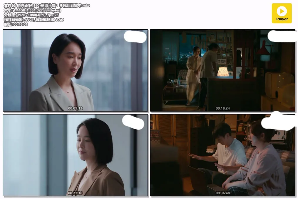 時光正好_E40_第四十集：李臨回到家中.mkv.webp