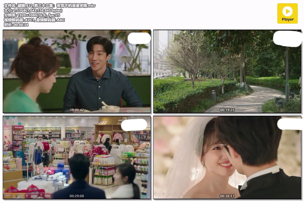 濾鏡_E32_第三十二集：夜雪下的浪漫求婚.mkv.webp