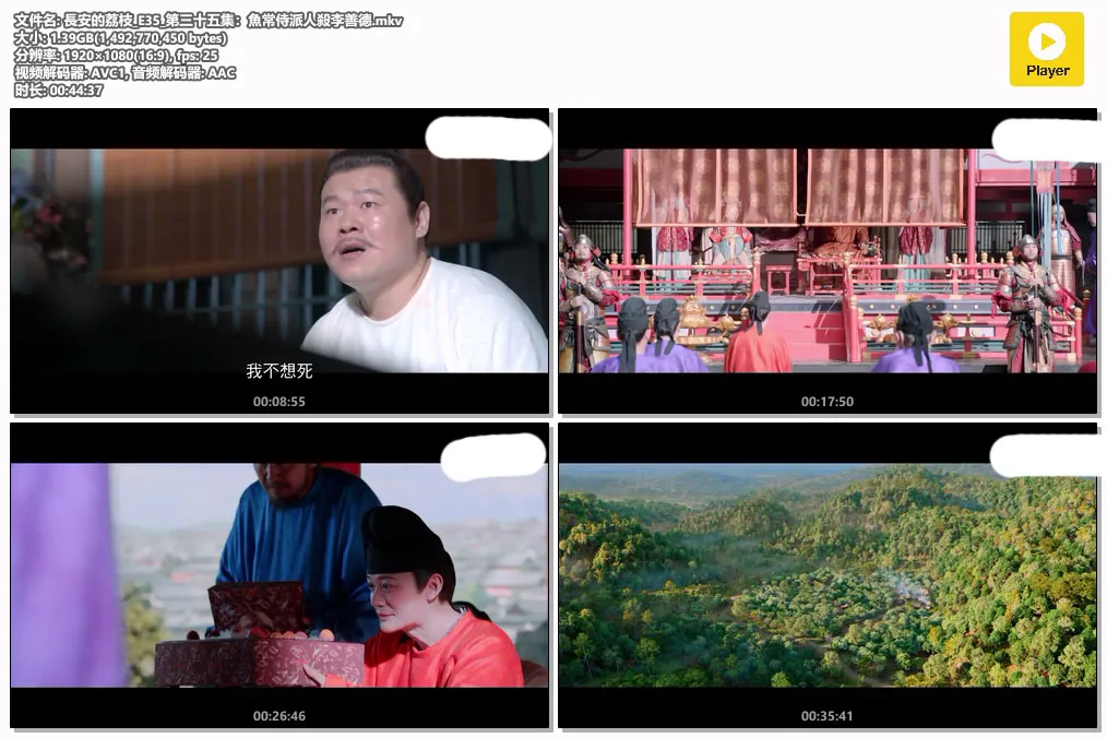 長安的荔枝_E35_第三十五集：魚常侍派人殺李善德.mkv.webp