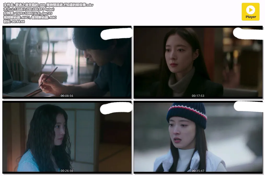 愛過之後來臨的_008_等時間流逝才知道的那些事.mkv.webp