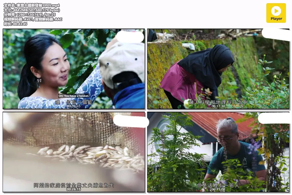 東盟十國新發展 EP05.mp4.webp
