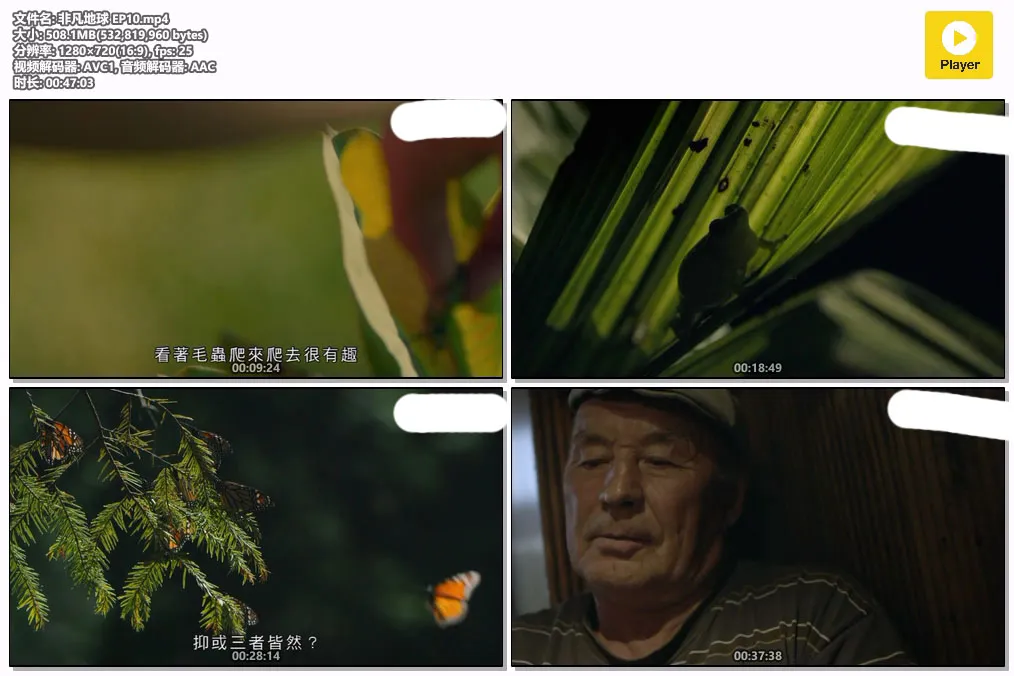 非凡地球 EP10.mp4.webp
