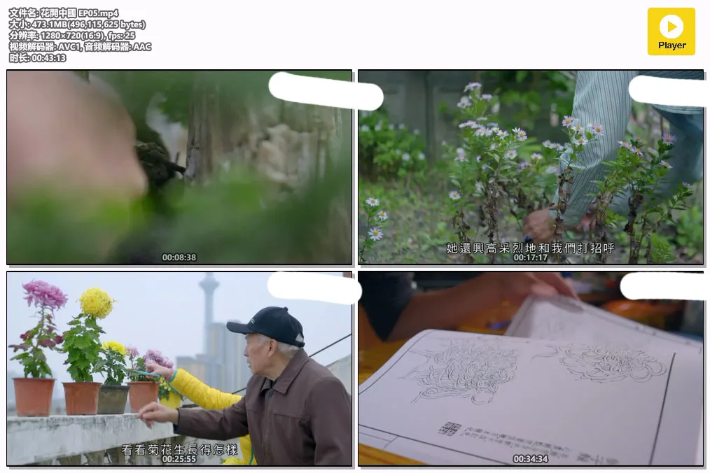 花開中國 EP05.mp4.webp