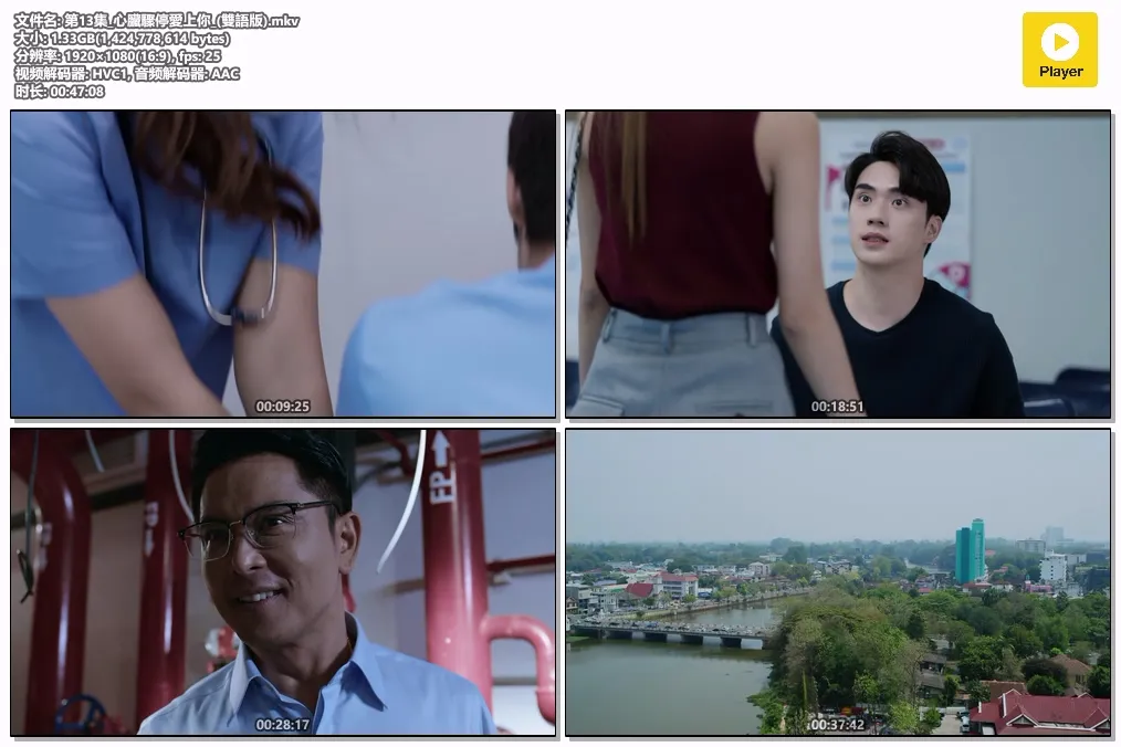 第13集_心臟驟停愛上你_(雙語版).mkv.webp