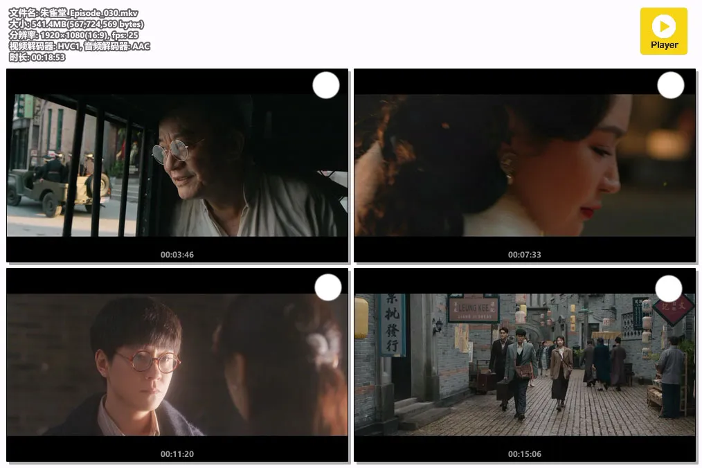 朱雀堂_Episode_030.mkv.webp