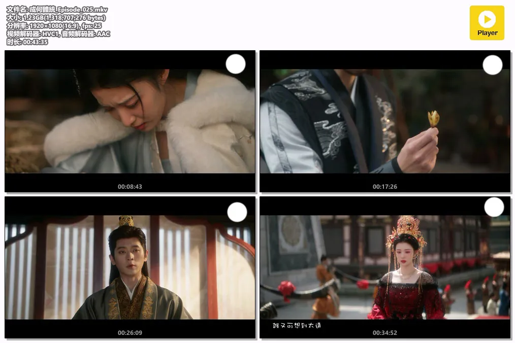 成何體統_Episode_025.mkv.webp